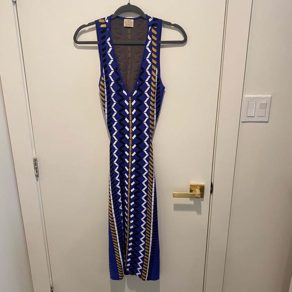 Torn by Ronny Kobo patterned blue dress size small